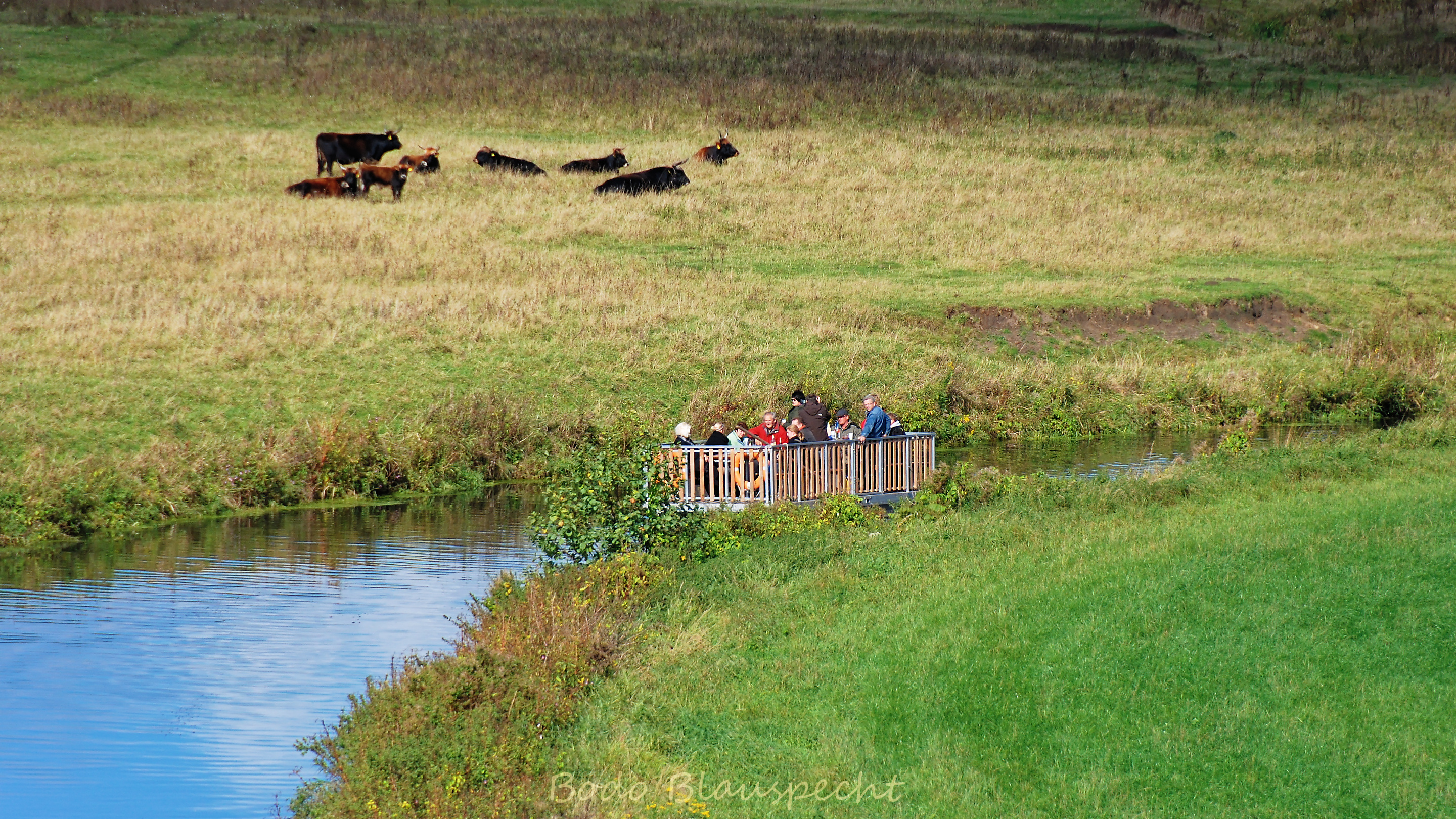 Flossfahrt Steveraue 2012.10.07 12.52 51 WEB