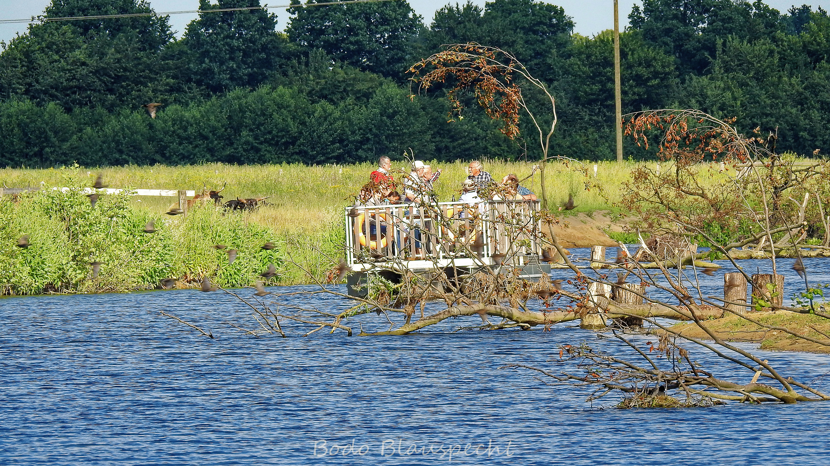 Flossfahrt Steveraue 2015.06.27 19.20 80 WEB