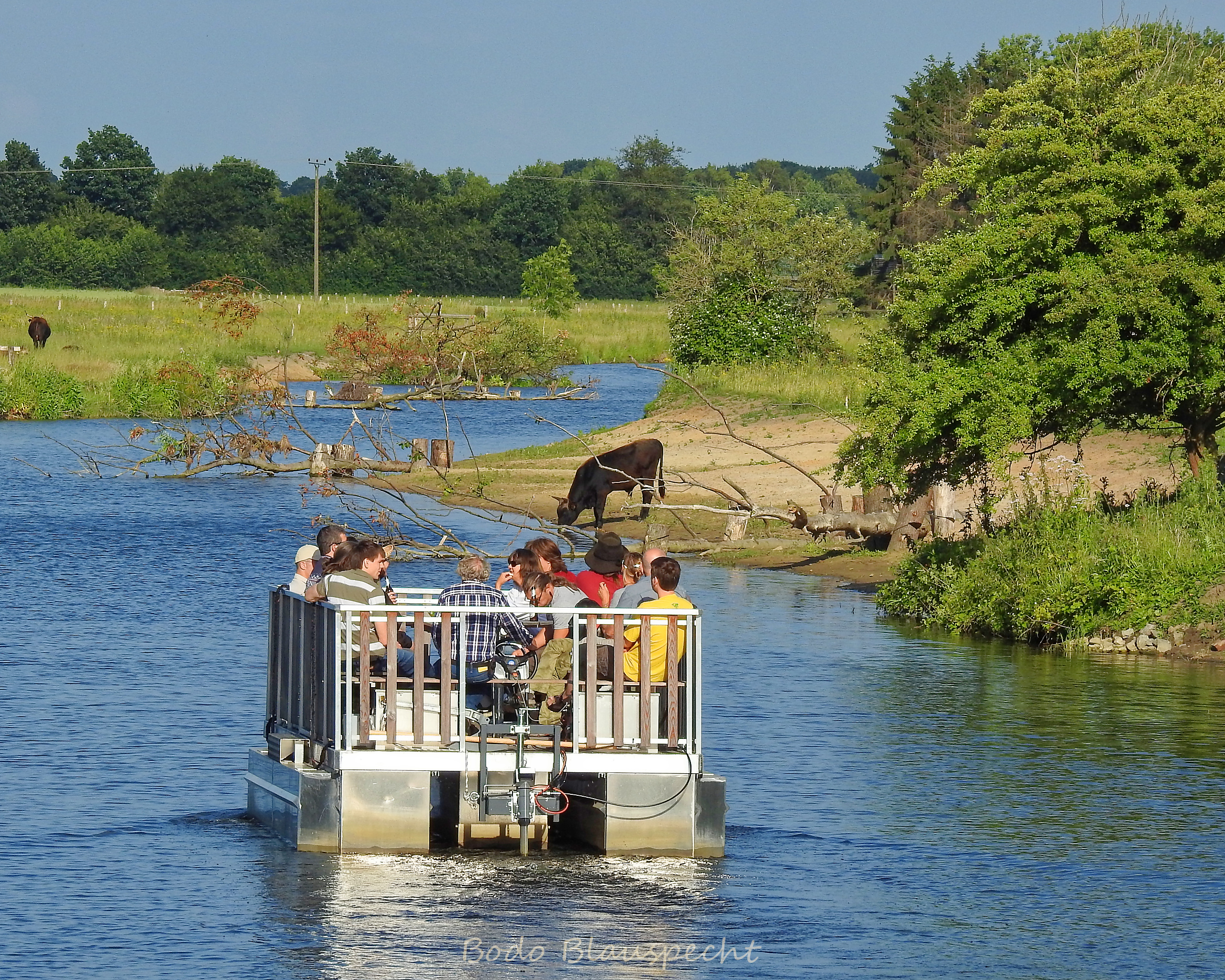 Flossfahrt Steveraue 2015.06.27 20.05 86 WEB