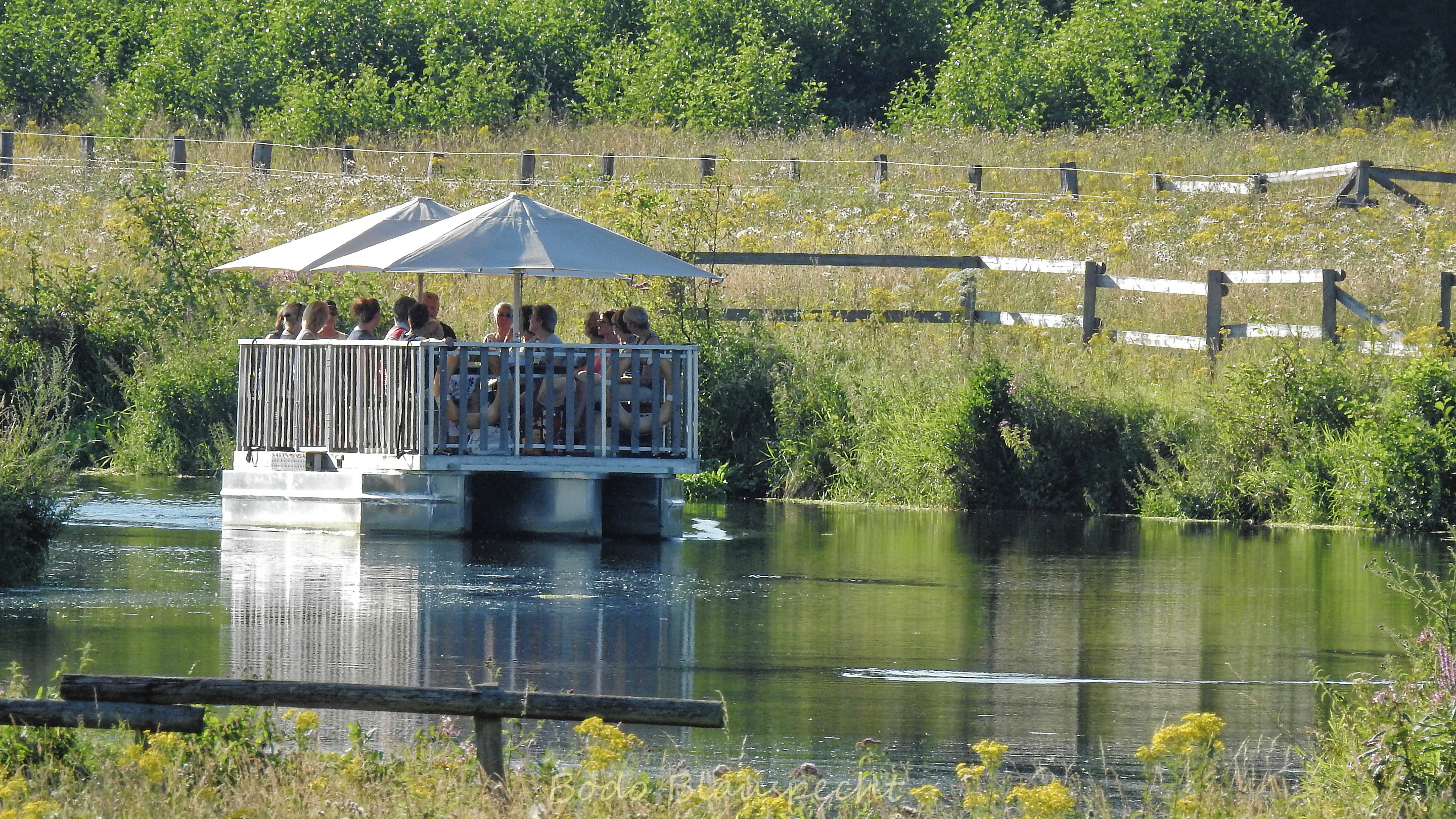 Flossfahrt Steveraue 2016.07.19 19.58 97 WEB