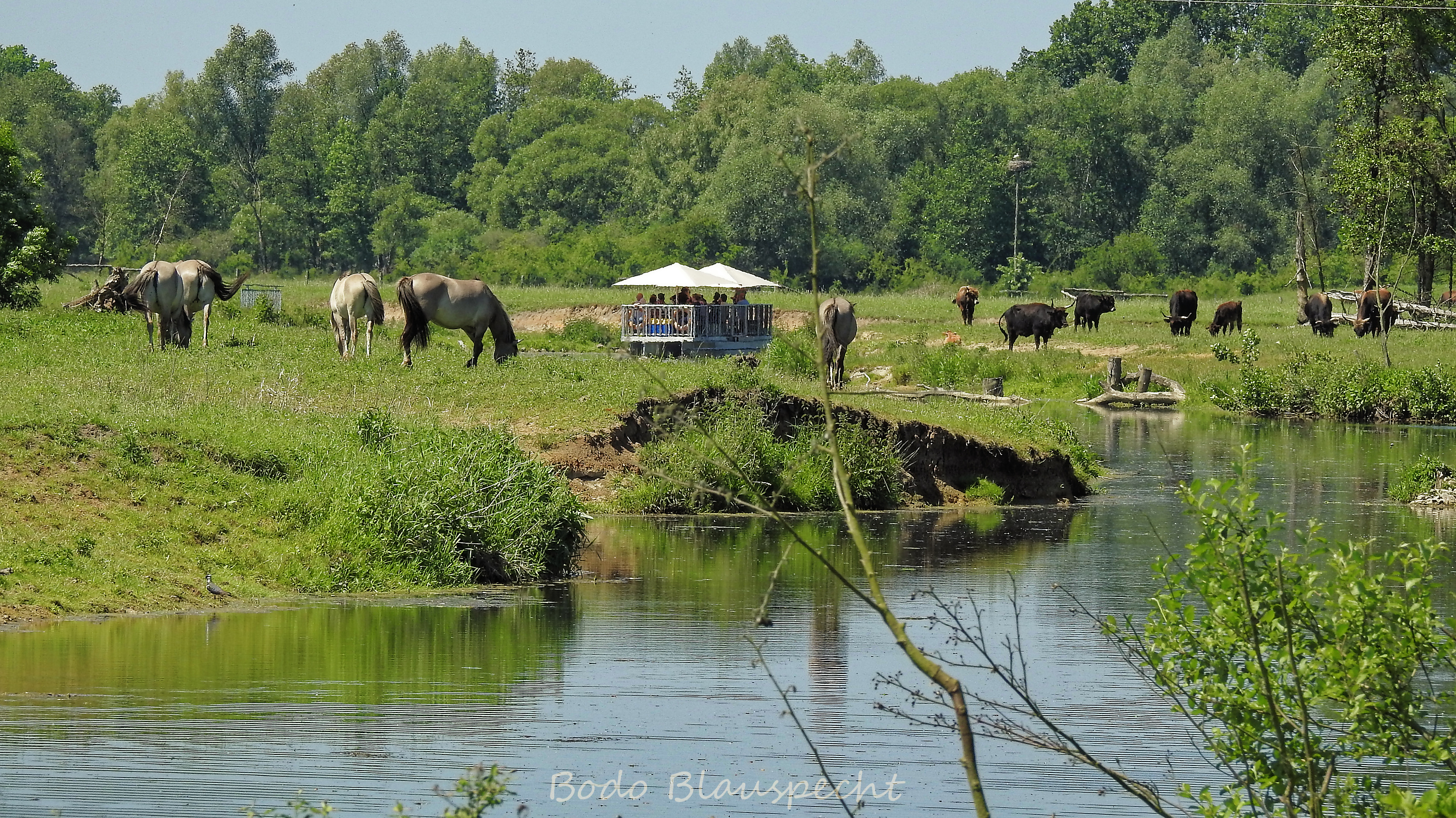 Flossfahrt Steveraue 2017.05.26 14.19 108 WEB