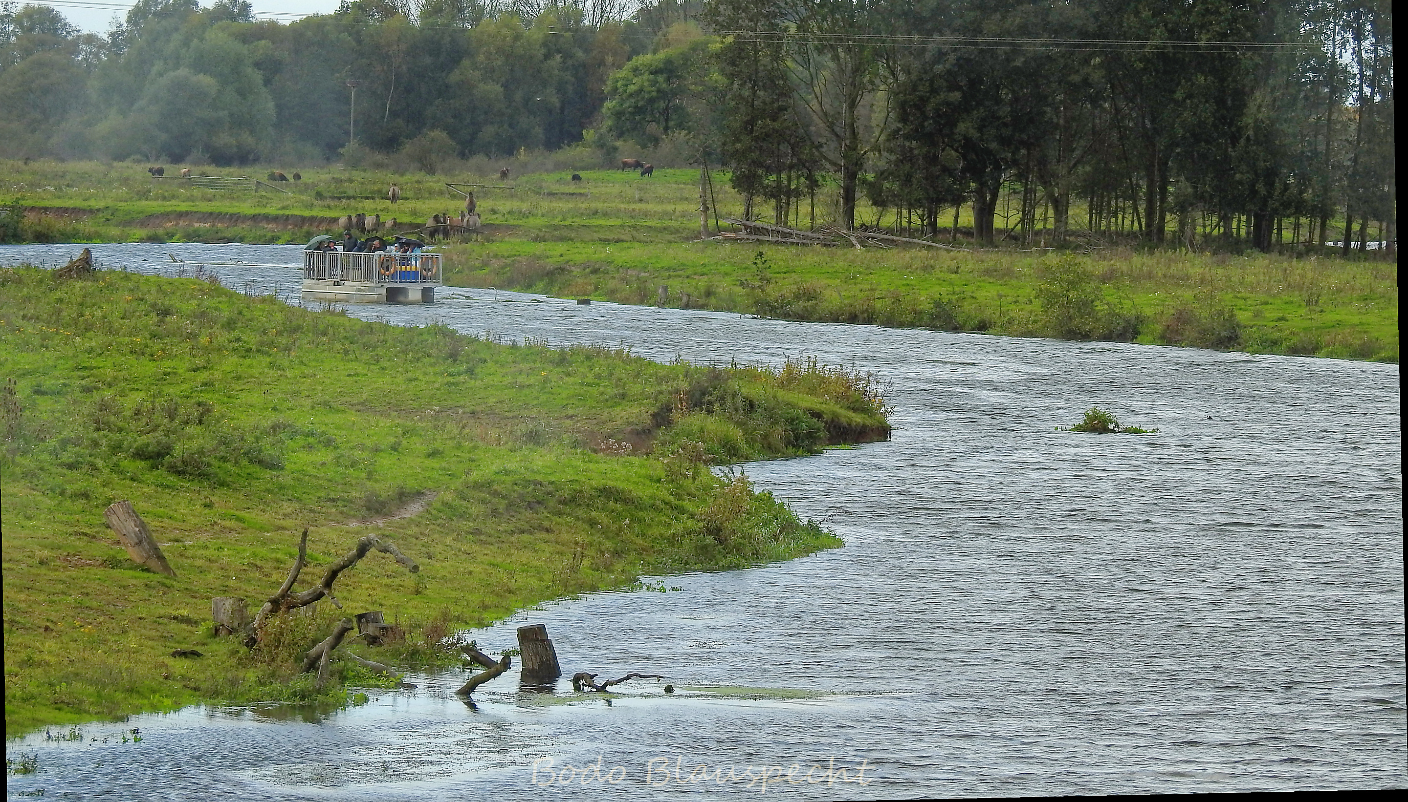 Flossfahrt Steveraue 2017.10.06 16.31 123 WEB