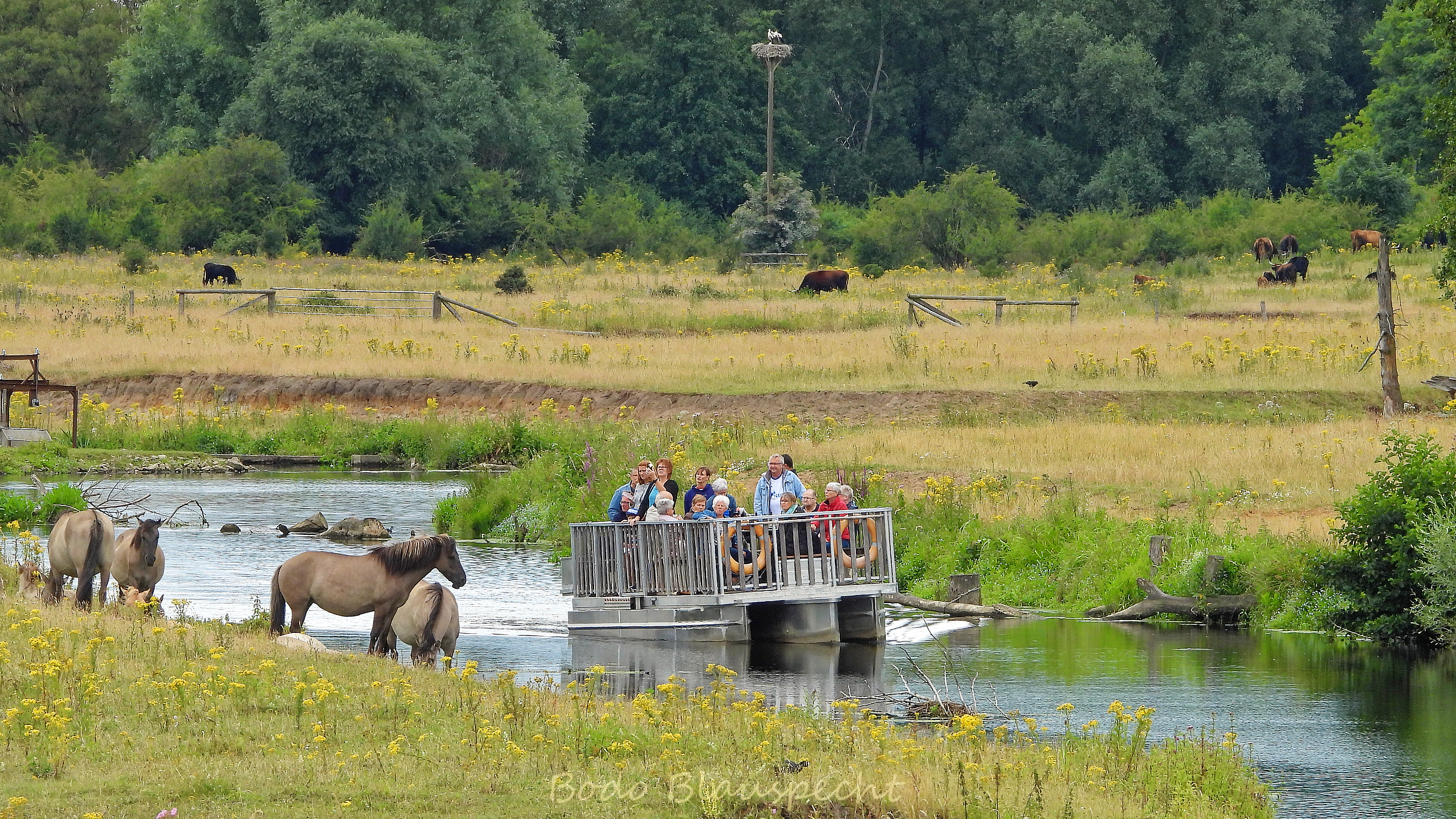 Flossfahrt Steveraue 2019.07.14 17.14 129 WEB