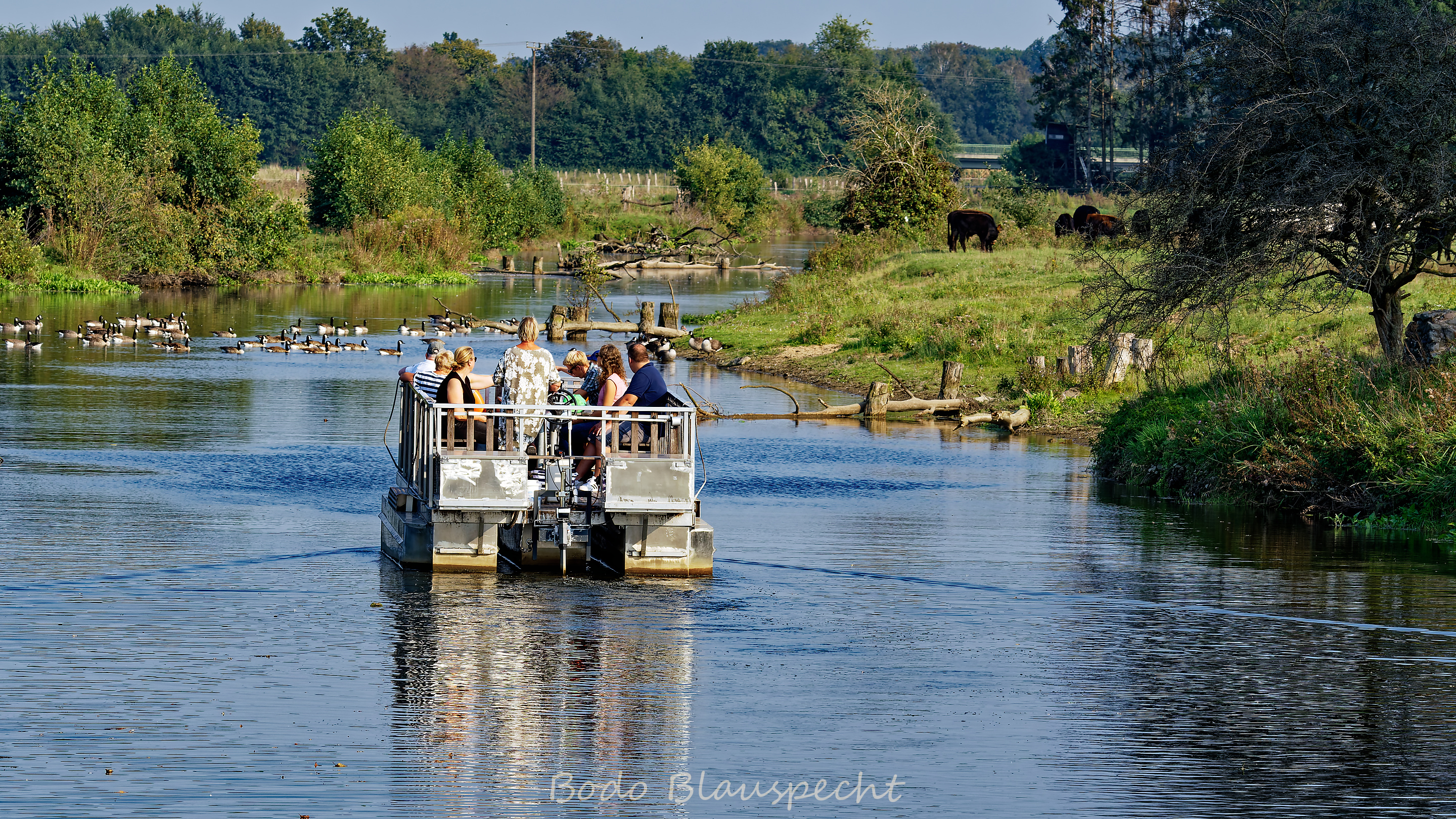 Flossfahrt Steveraue 2020.09.16 16.52 137 WEB
