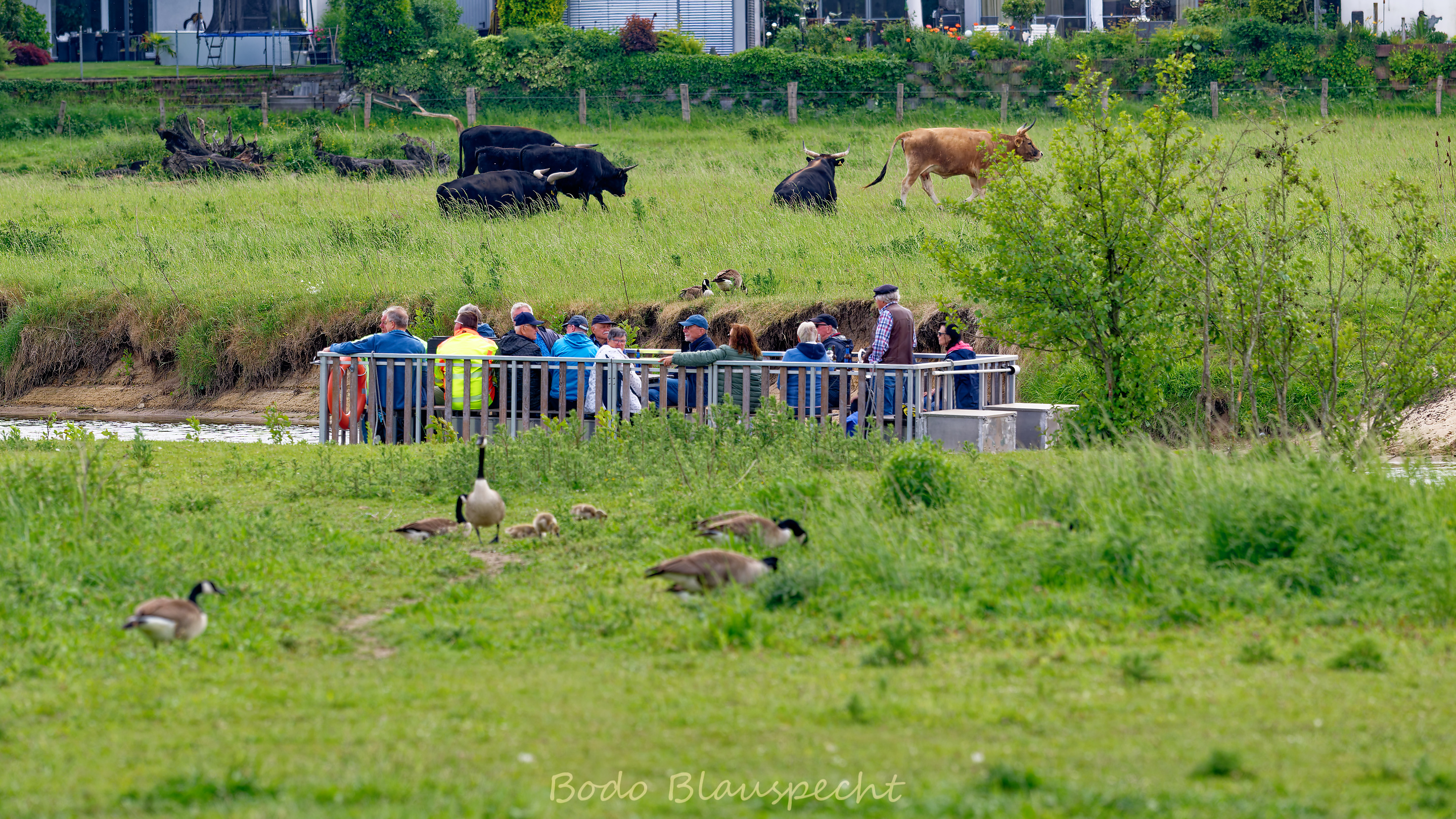 Flossfahrt Steveraue 2025.05.21 15.06 169 WEB