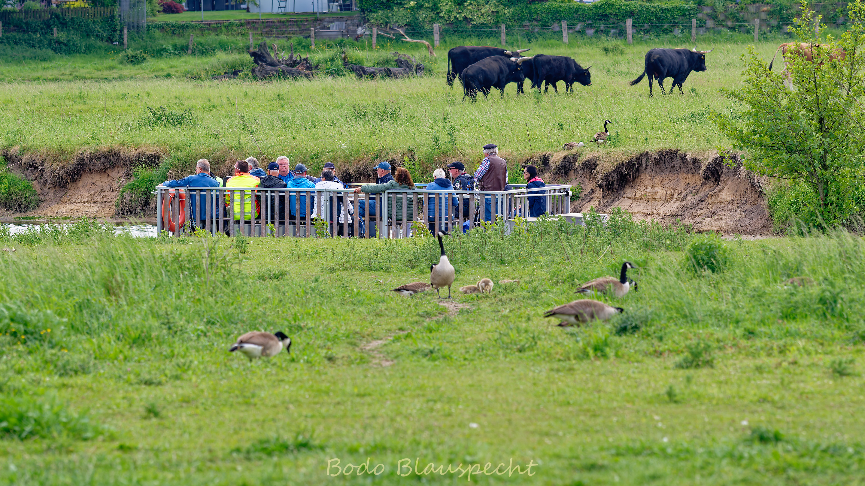 Flossfahrt Steveraue 2025.05.21 15.06 171 WEB