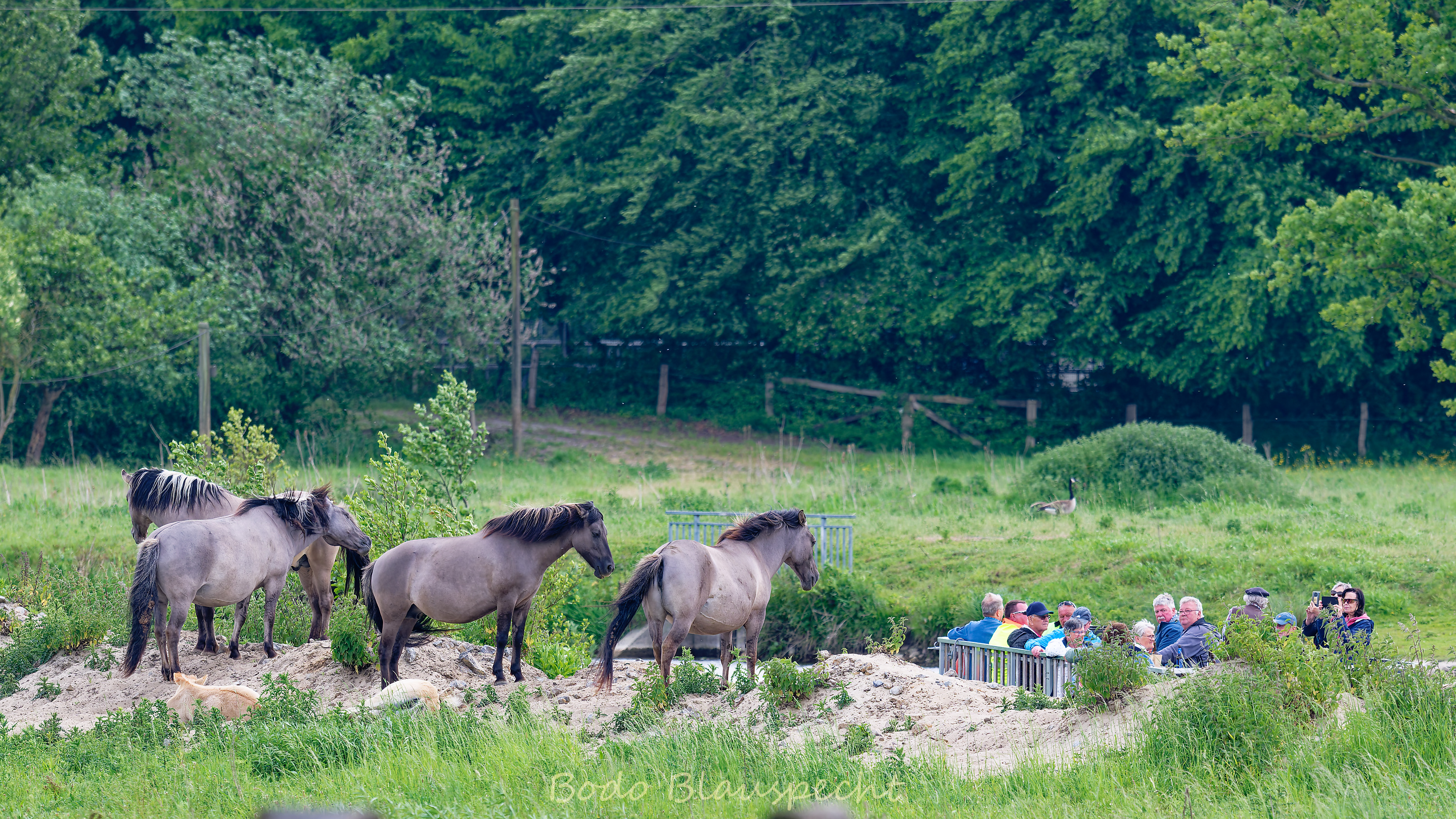 Flossfahrt Steveraue 2025.05.21 15.07 174 WEB