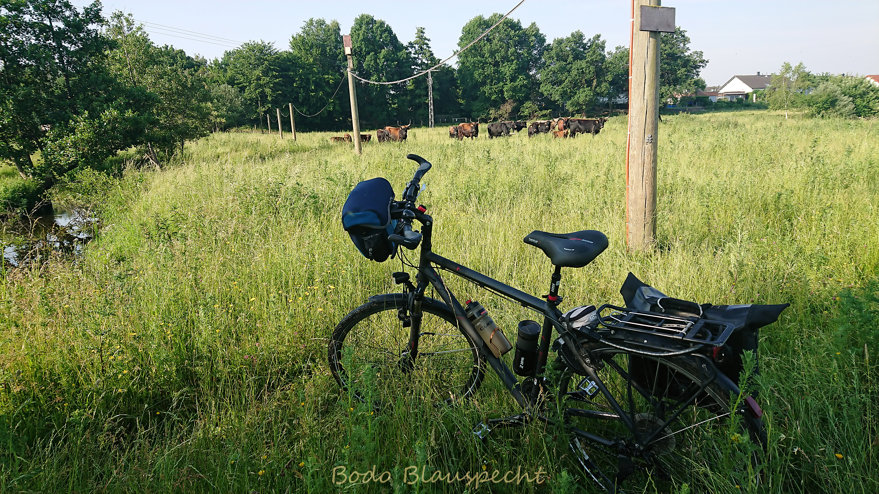 Flossfahrer Steveraue 2021.06.18 08.08 30 WEB