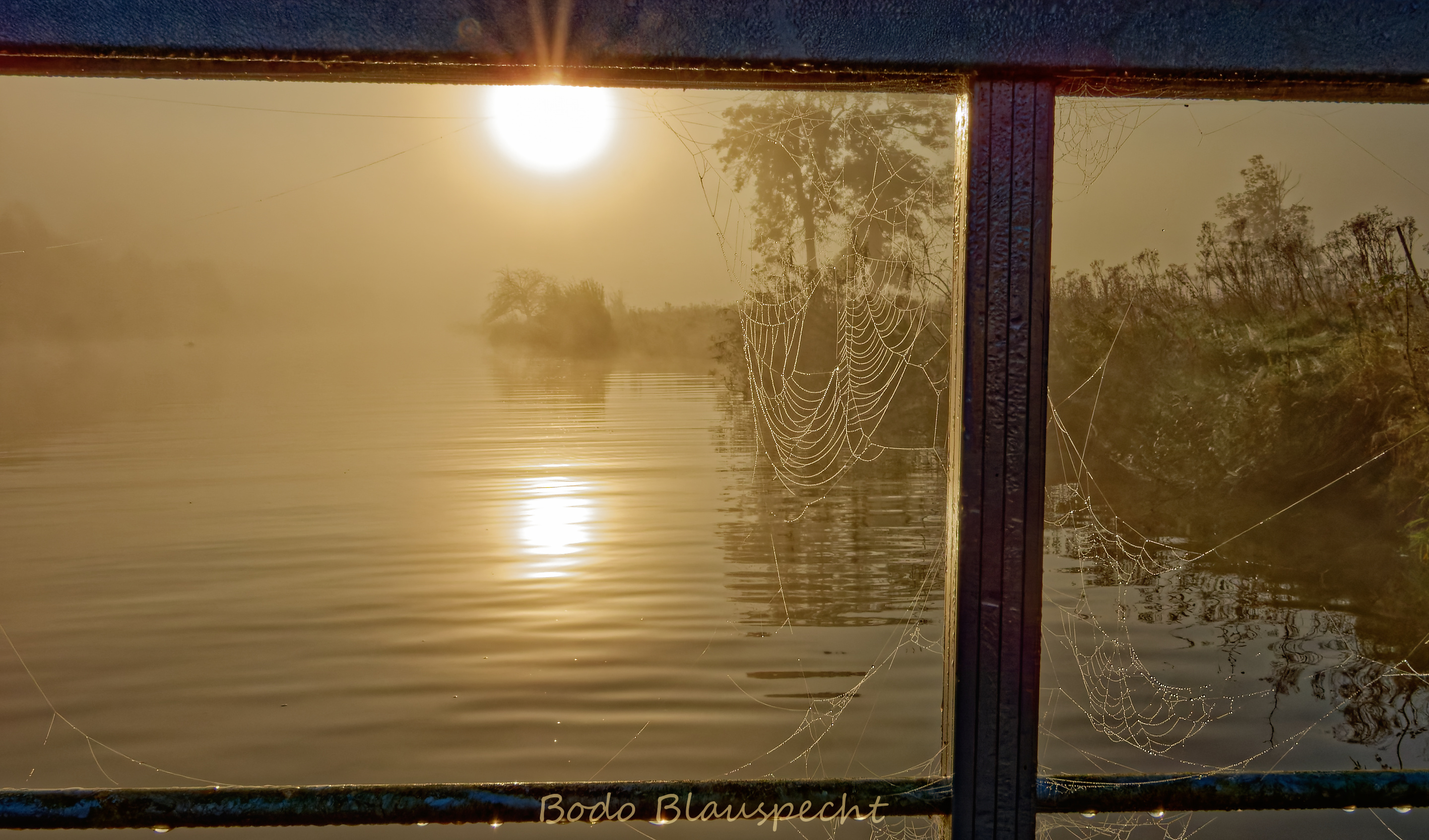 Flossfahrer Steveraue 2024.10.05 08.53 93 WEB