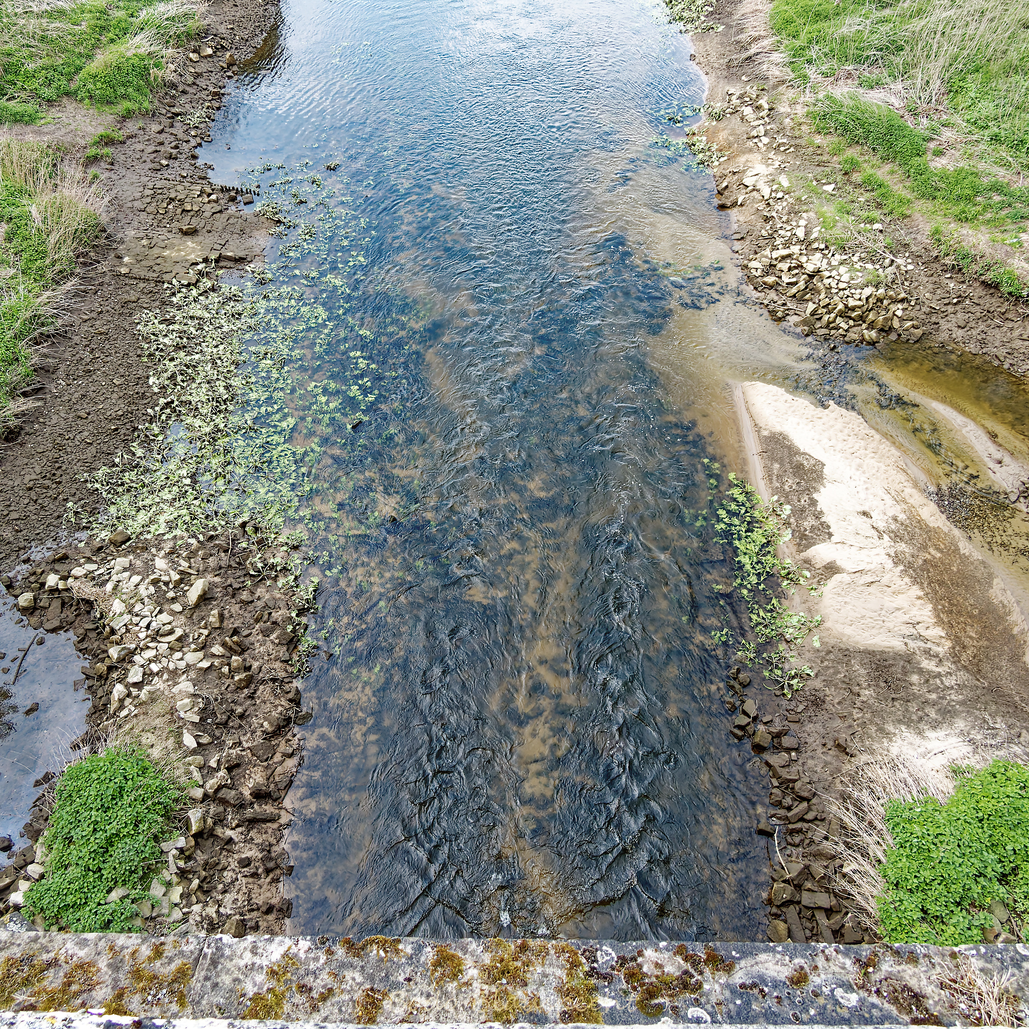 Niedrigwasser Steveraue 2022.04.26 15.24 18 WEB