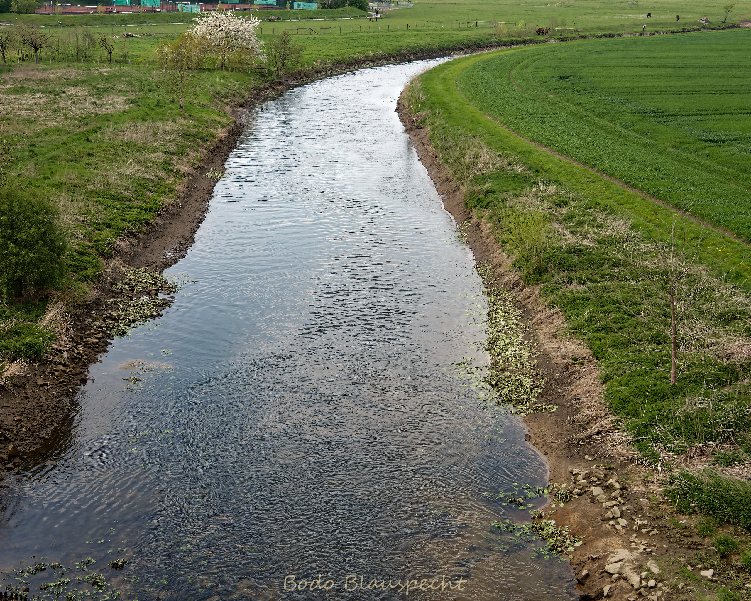 Niedrigwasser Steveraue 2022.04.26 15.24 19 WEB
