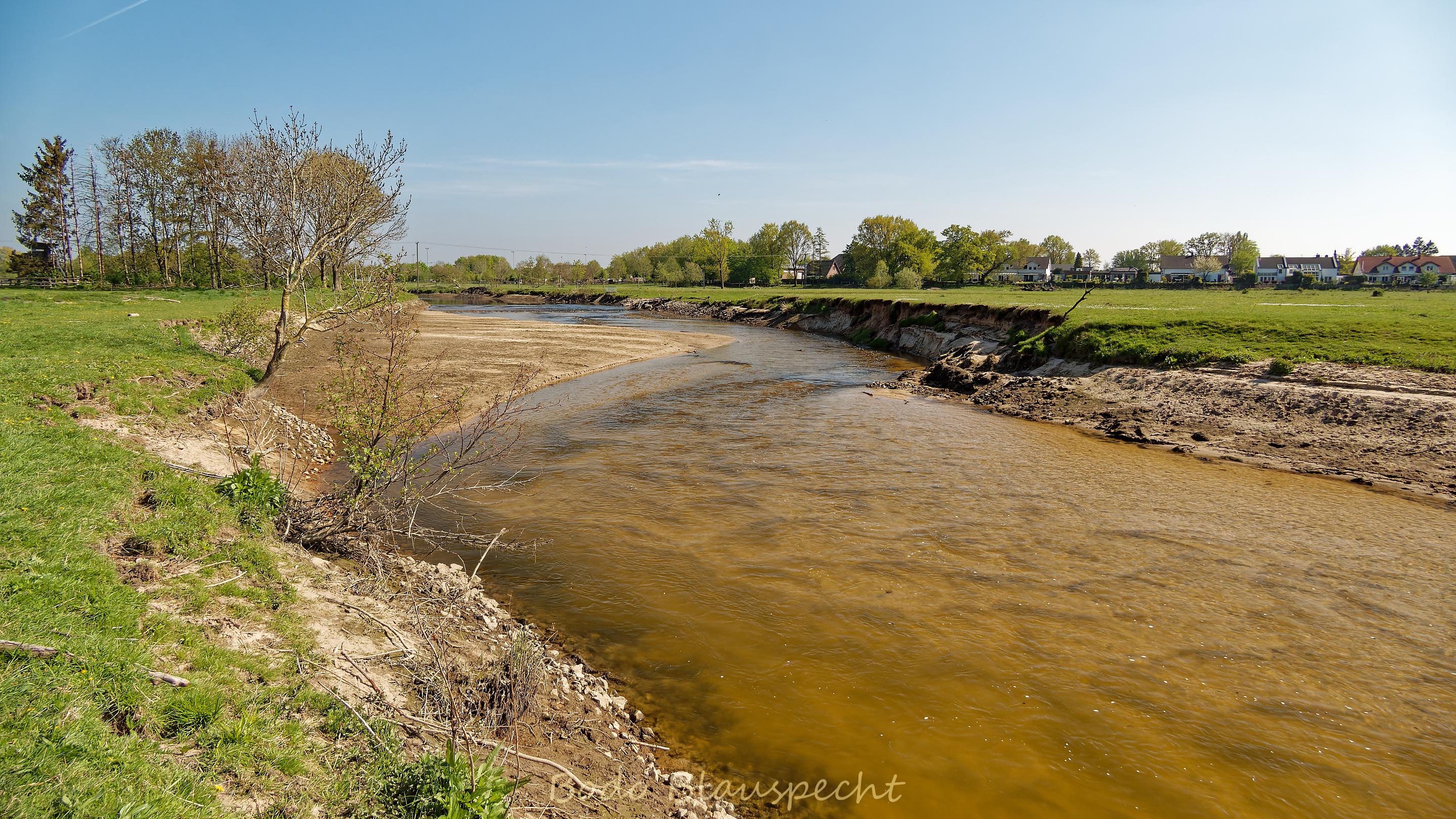 Niedrigwasser Steveraue 2022.04.28 15.14 94 WEB