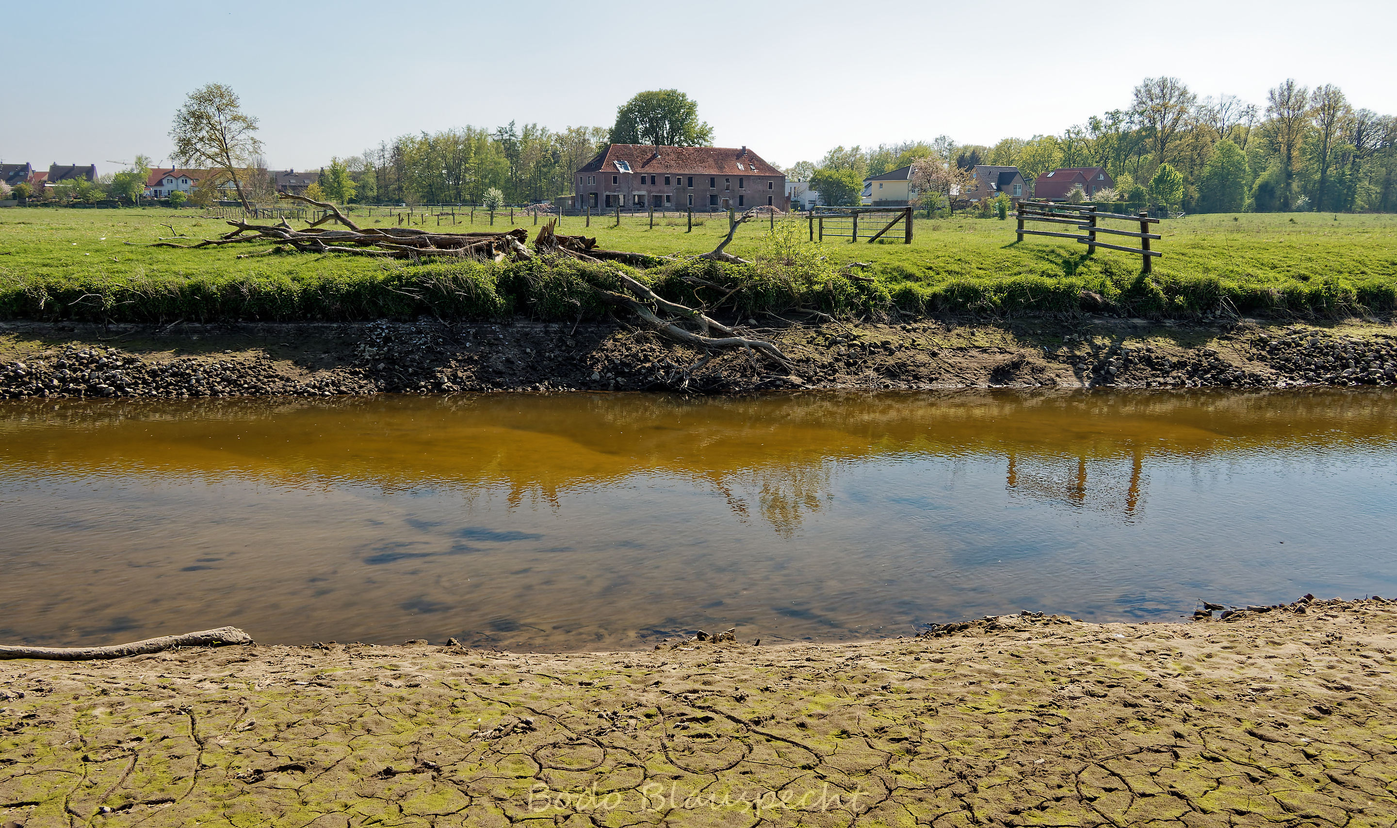 Niedrigwasser Steveraue 2022.04.28 15.17 101 WEB