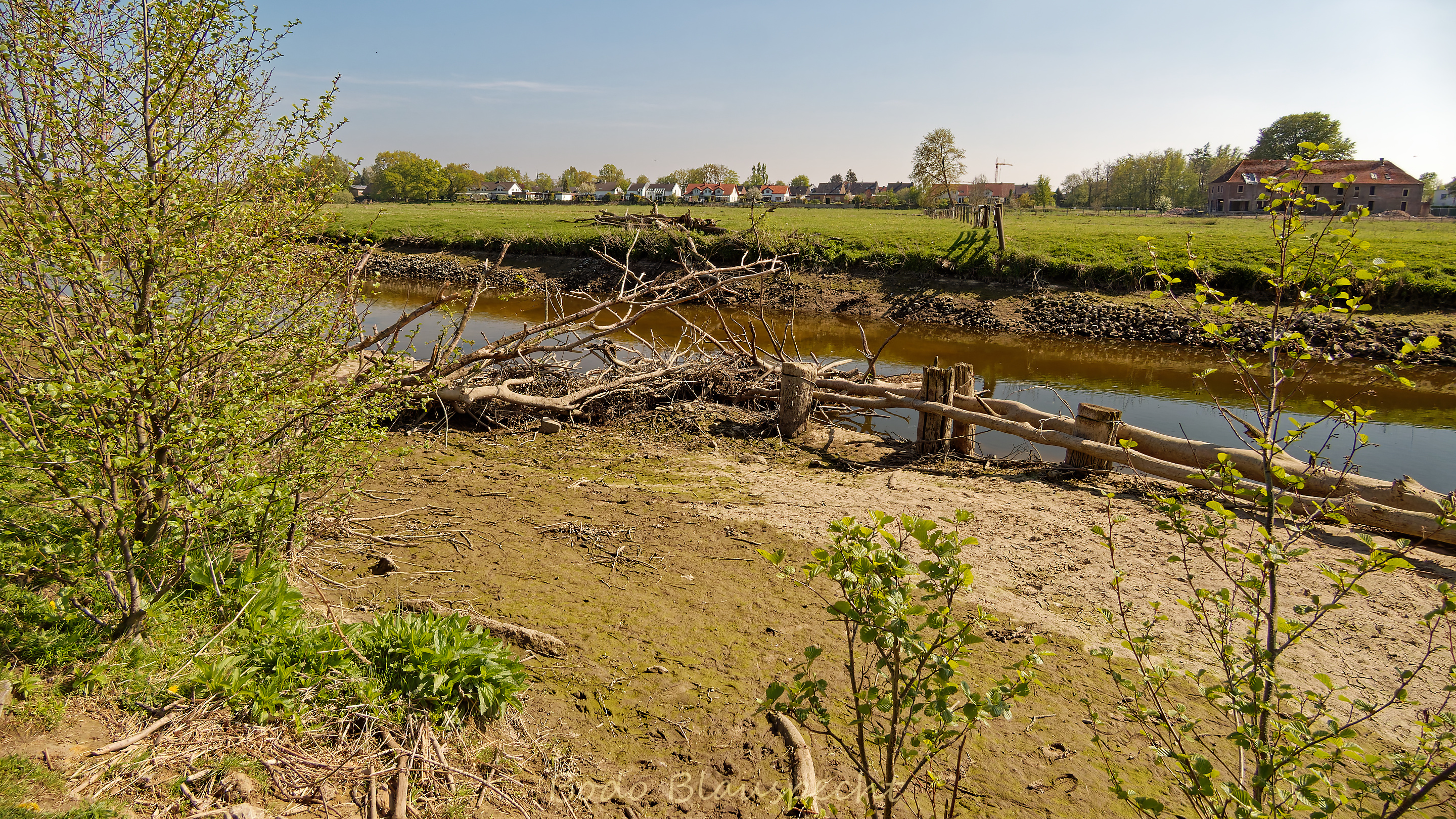 Niedrigwasser Steveraue 2022.04.28 15.18 103 WEB