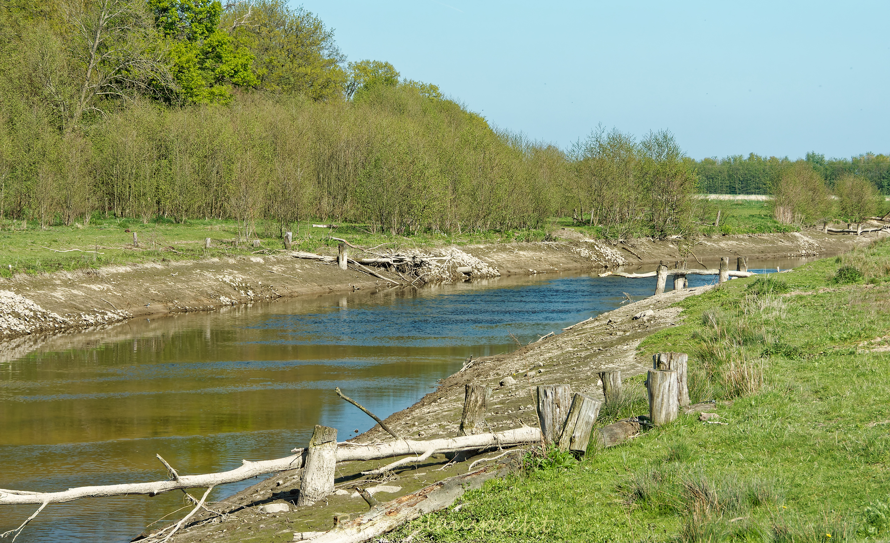 Niedrigwasser Steveraue 2022.04.28 15.47 125 WEB