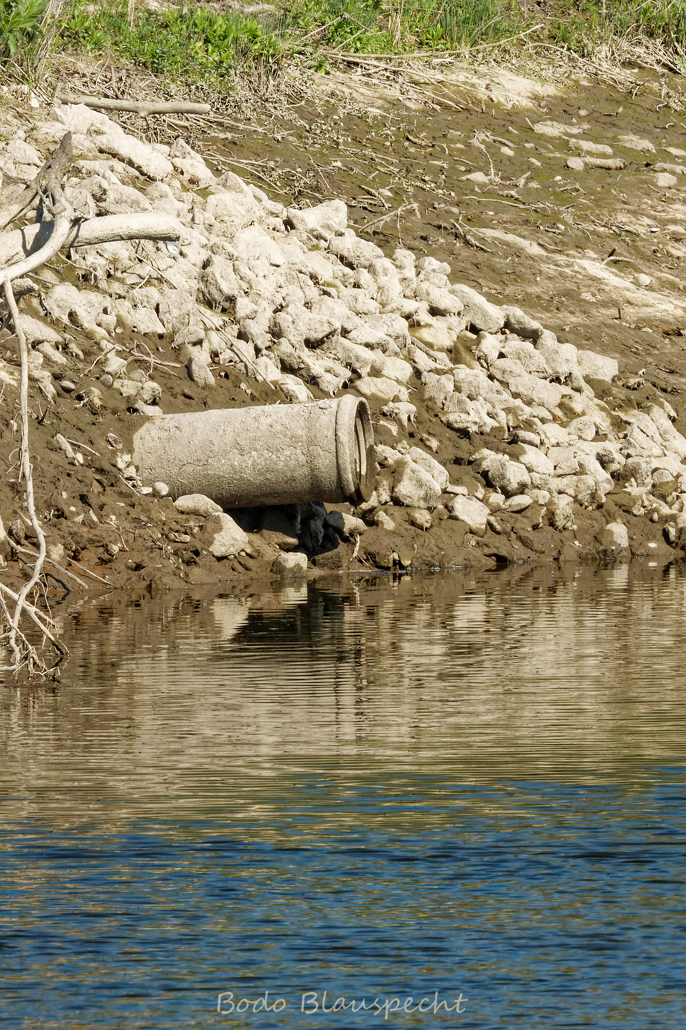 Niedrigwasser Steveraue 2022.04.28 15.47 127 WEB