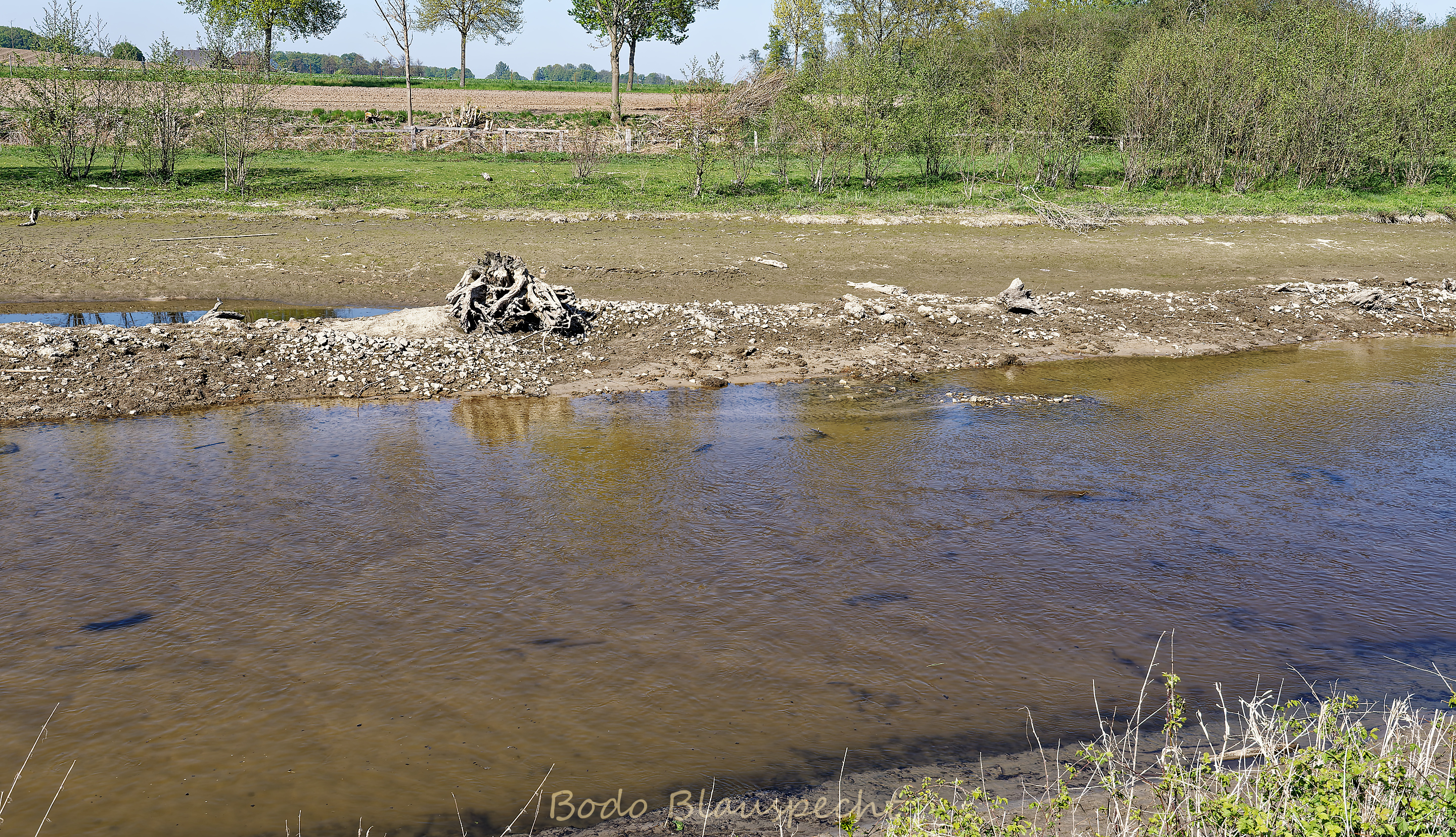 Niedrigwasser Steveraue 2022.04.28 16.40 135 WEB