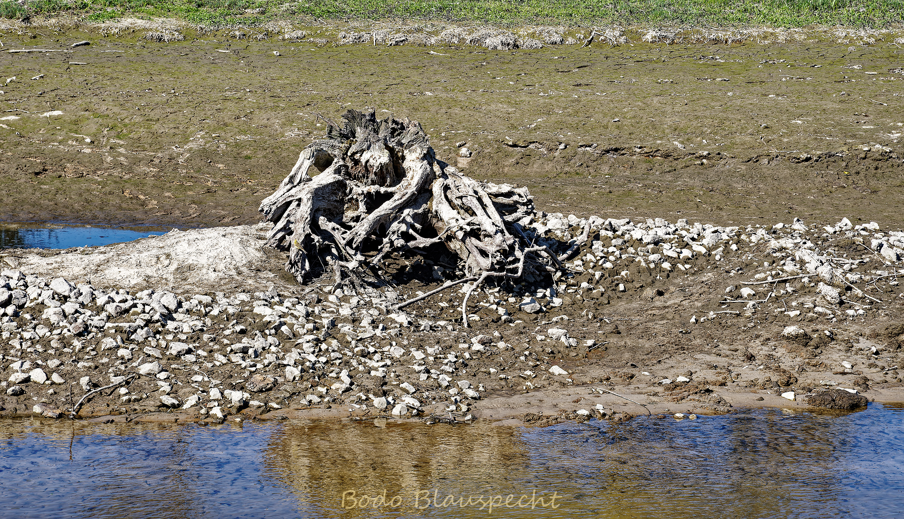 Niedrigwasser Steveraue 2022.04.28 16.40 136 WEB