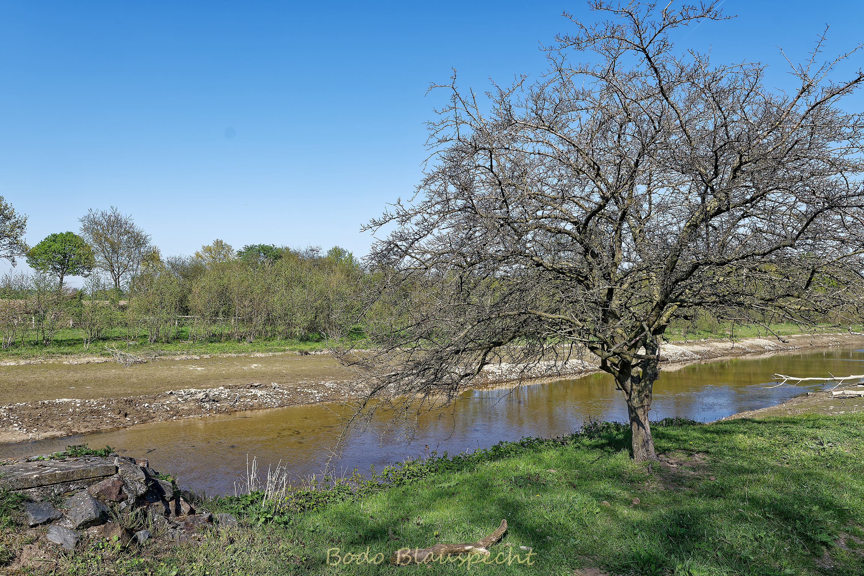 Niedrigwasser Steveraue 2022.04.28 16.41 137 WEB