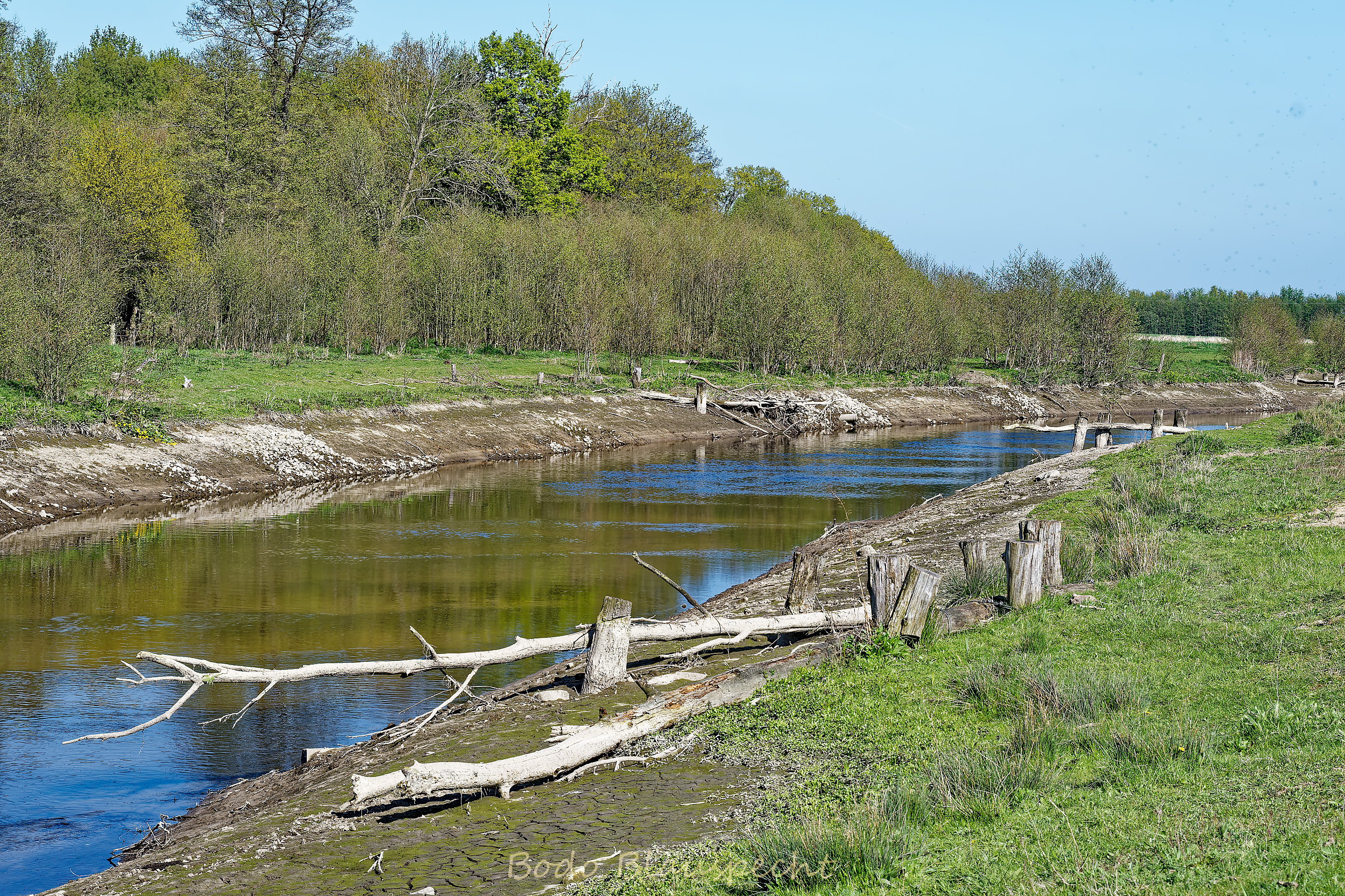 Niedrigwasser Steveraue 2022.04.28 16.43 139 WEB
