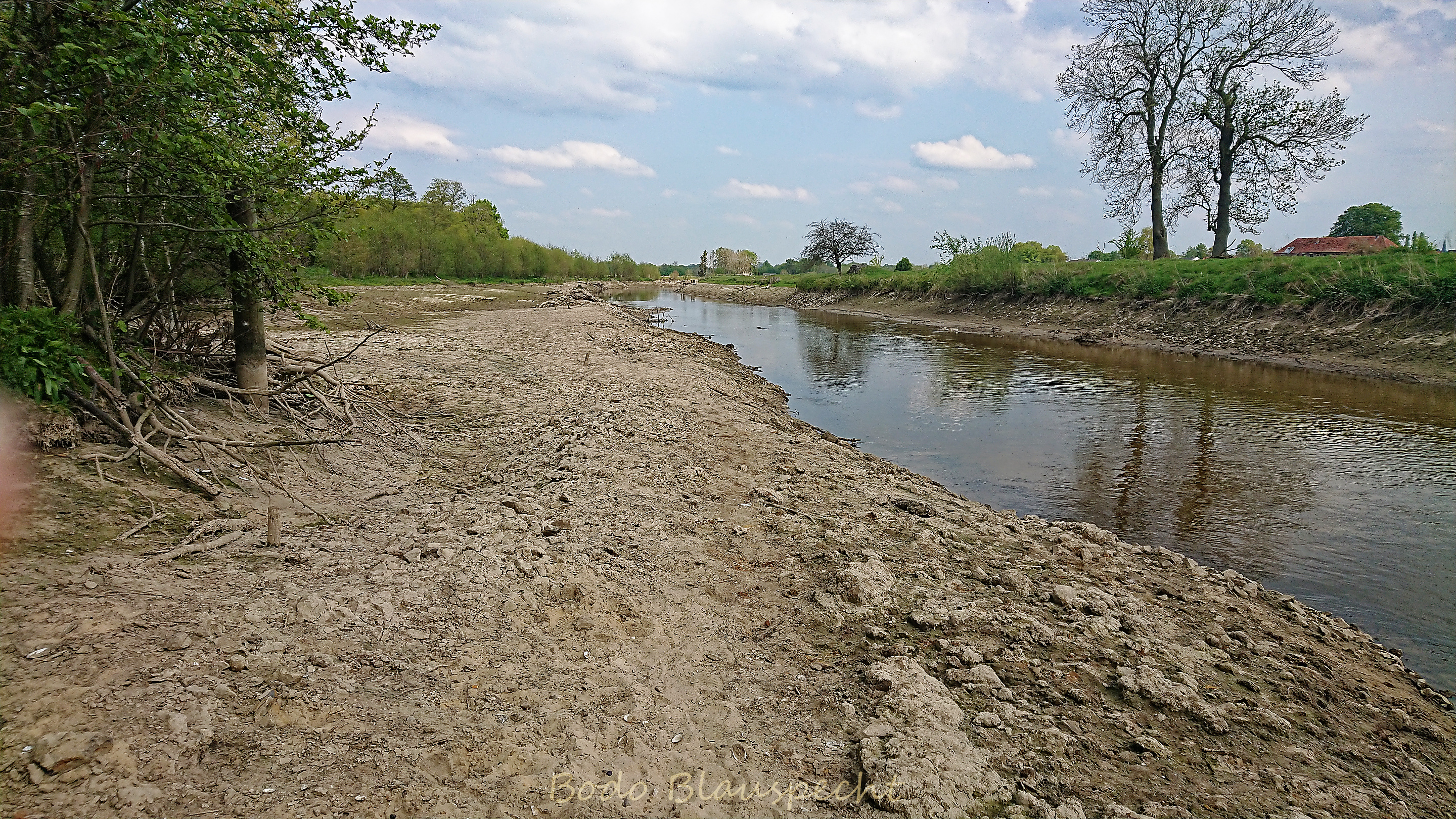 Niedrigwasser Steveraue 2022.05.02 16.57 145 WEB
