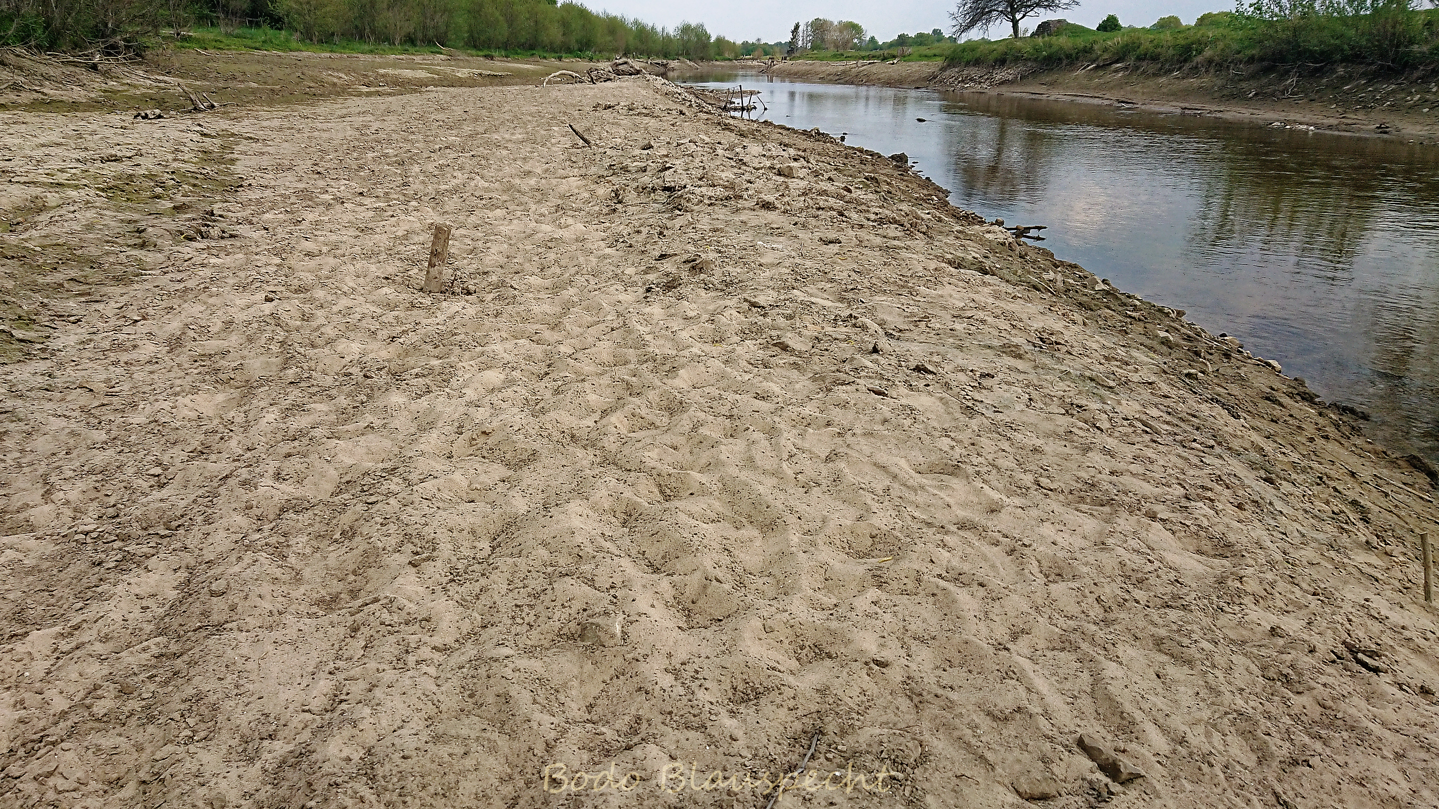 Niedrigwasser Steveraue 2022.05.02 16.58 146 WEB
