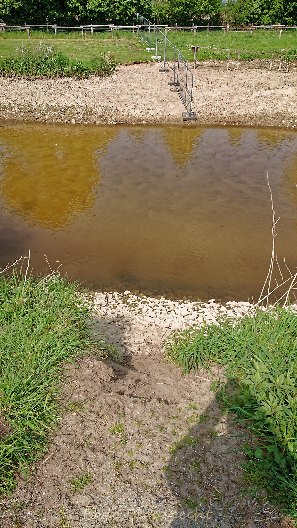 Niedrigwasser Steveraue 2022.05.07 15.07 151 WEB