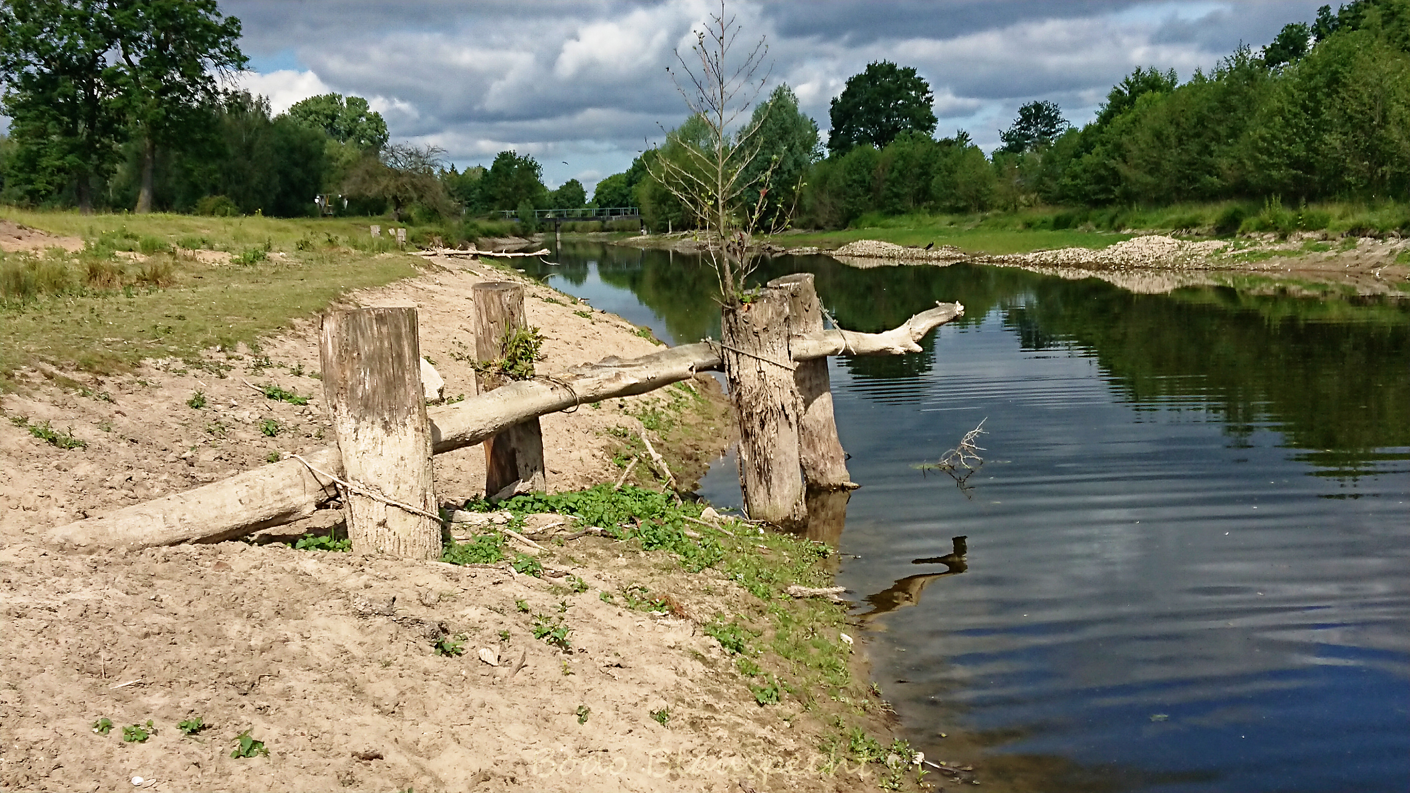 Niedrigwasser Steveraue 2022.06.14 10.11 166 WEB