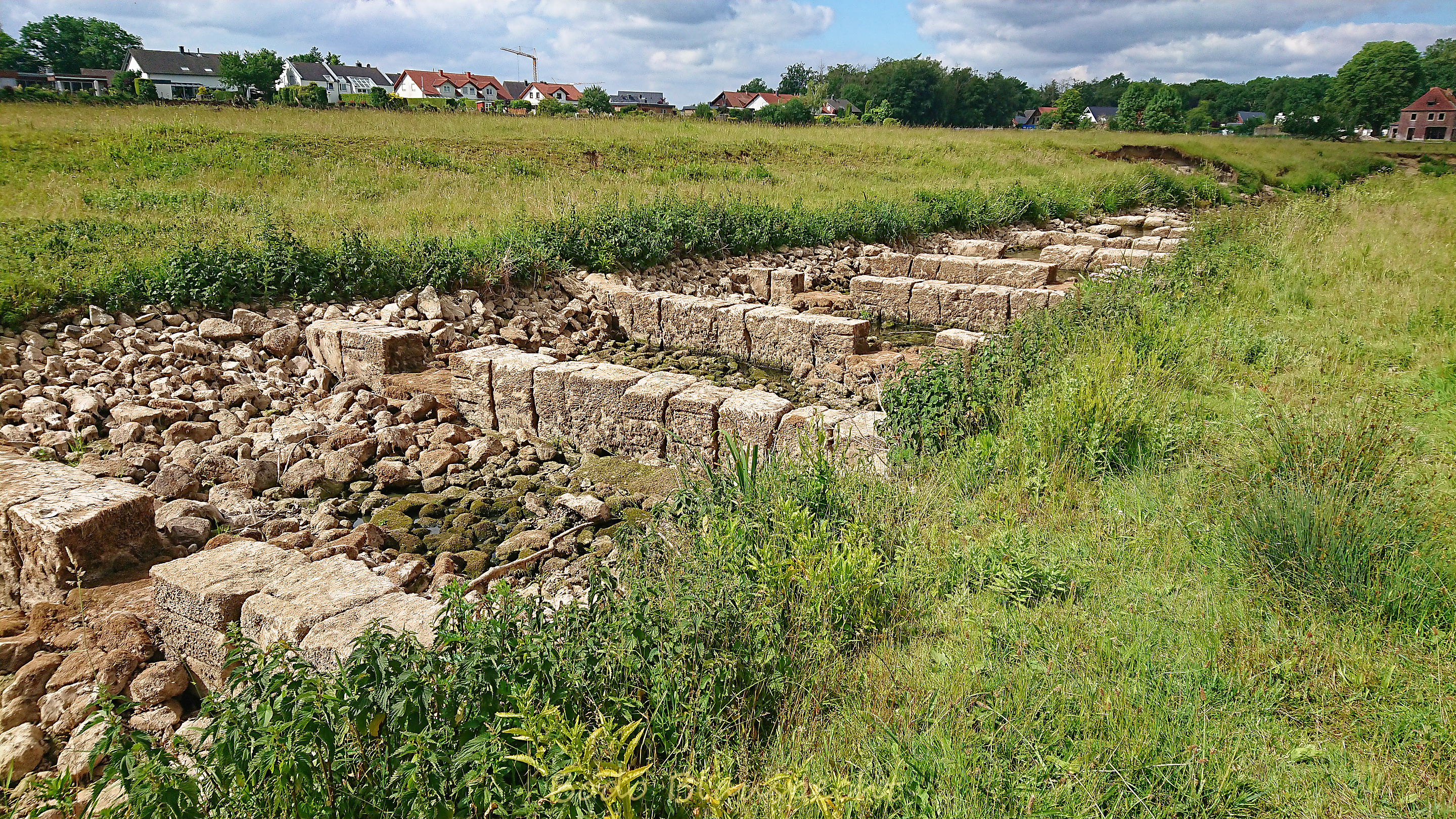 Niedrigwasser Steveraue 2022.06.14 10.33 190 WEB