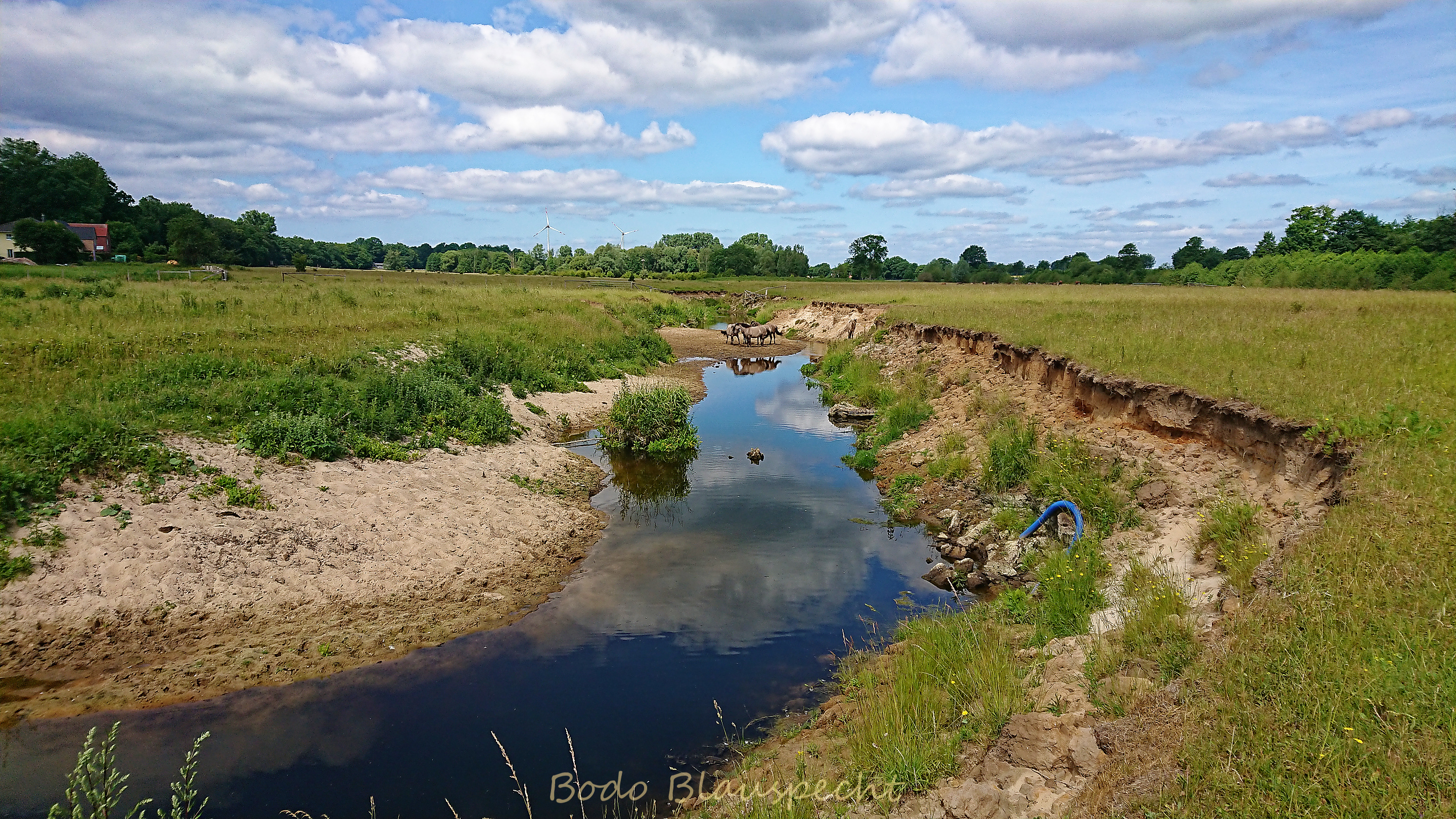 Niedrigwasser Steveraue 2022.06.14 11.20 232 WEB